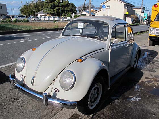 vw type1 BUG