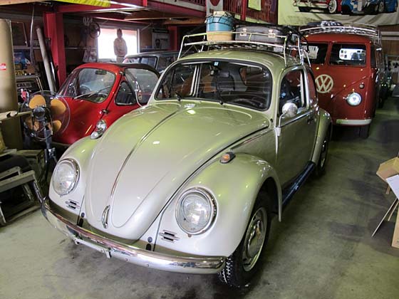 vw type1 BUG